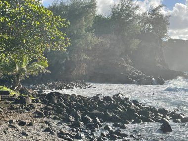 Hawaii 'deki Büyük Ada' daki Kapaau 'daki Keokea Beach Park' tan görüntü