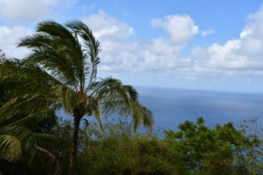 Waipio Vadisi 'nin Waimea' daki manzarası Hawaii 'deki Büyük Ada' da.