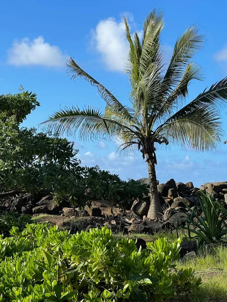 Vista Desde Keokea Beach Park Kapaau Isla Grande Hawaii —  Fotos de Stock