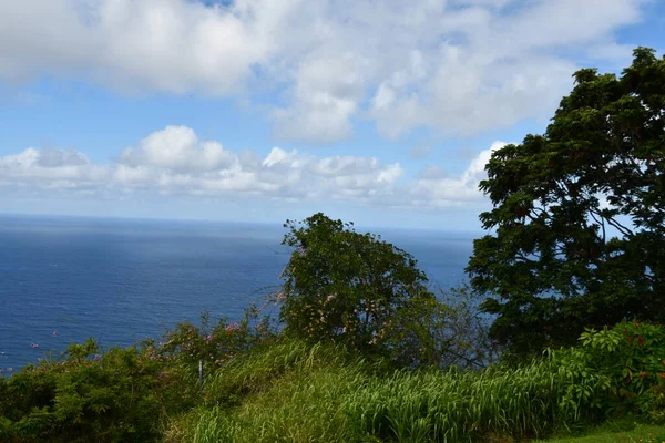 Вид Долины Пио Уэймеа Большом Острове Гавайях Сша — стоковое фото