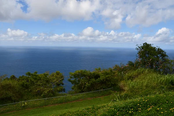 Utsikt Från Waipio Valley Lookout Waimea Big Island Hawaii Usa — Stockfoto