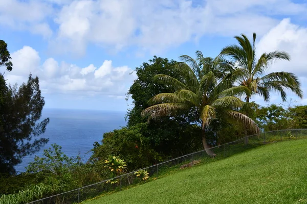 Vista Waipio Valley Lookout Waimea Big Island Havaí Eua — Fotografia de Stock