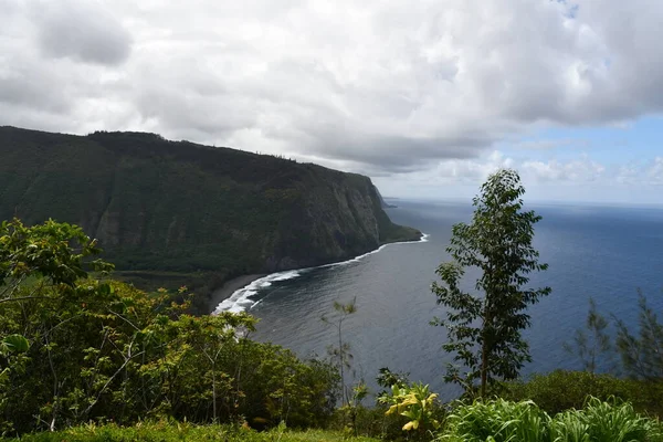 Vista Waipio Valley Lookout Waimea Big Island Havaí Eua — Fotografia de Stock