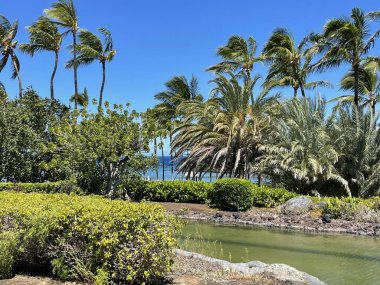WAIKOLOA, HI - 26 AUG Hawaii 'deki Hilton Waikoloa Village Resort, 26 Ağustos 2021' de görüldüğü gibi.
