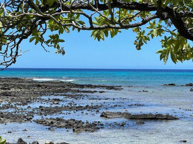 Hawaii 'deki Büyük Ada' da Waikoloa 'dan Pasifik Okyanusu manzarası