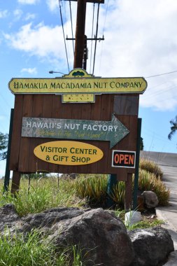 WAIMEA HI - 25 AUG: Hamakua Macadamia Fındık Şirketi Hawaii, Waimea 'da, 25 Ağustos 2021' de görüldüğü gibi.