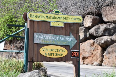 WAIMEA HI - 25 AUG: Hamakua Macadamia Fındık Şirketi Hawaii, Waimea 'da, 25 Ağustos 2021' de görüldüğü gibi.