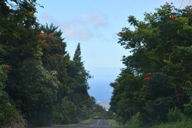 Hawaii 'de Büyük Ada' da dolaşırken