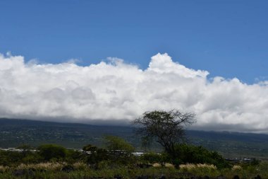 View of Big Island in Hawaii