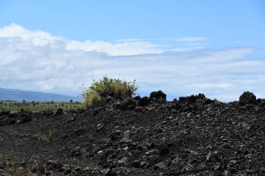 Hawaii 'deki Büyük Ada' dan Pasifik Okyanusu manzarası