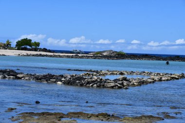 Hawaii 'deki Büyük Ada' da Kailua-Kona 'da Honokohau Sahili