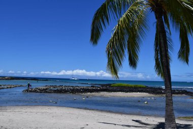 Hawaii 'deki Büyük Ada' da Kailua-Kona 'da Honokohau Sahili