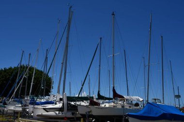 KAILUA KONA, HI - AUG 23: Honokohau Small Boat Harbor at Kailua Kona on the Big Island in Hawaii, as seen on Aug 23, 2021.