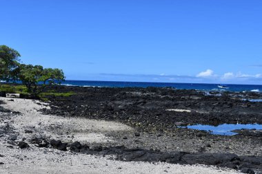 Hawaii 'deki Büyük Ada' daki Kailua-Kona 'daki Kaloko-Honokohau Ulusal Tarihi Parkı' nda balık tutma göletleri