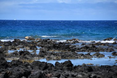 Hawaii 'deki Büyük Ada' daki Kailua-Kona 'daki Kaloko-Honokohau Ulusal Tarihi Parkı' nda balık tutma göletleri