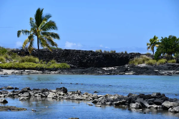 Hawaii 'deki Büyük Ada' da Kailua-Kona 'da Honokohau Sahili