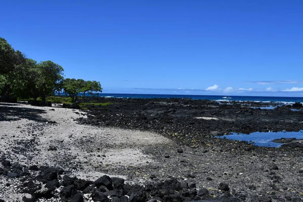 Pesca Stagni Kaloko Honokohau National Historic Park Kailua Kona Sulla — Foto Stock