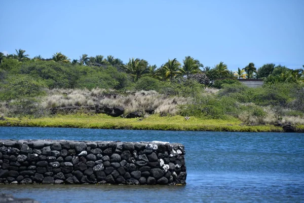 Fishing Ponds Kaloko Honokohau National Historic Park Kailua Kona Big — стокове фото