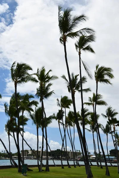ニウマルビーチ ハワイのビックアイランドのカイルア コナにあるカイルア湾 — ストック写真