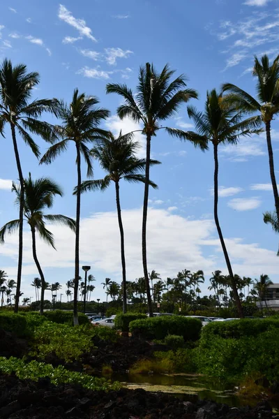 Waikoloa Aug Zicht Rond Waikoloa Big Island Hawaii Gezien Aug — Stockfoto