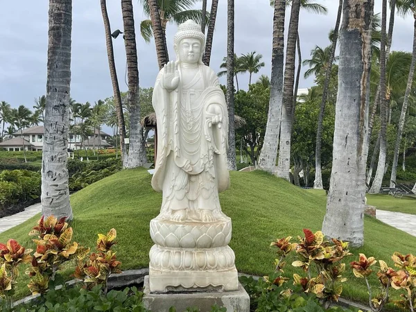 Waikoloa Aug Kunstsammlung Hilton Waikoloa Village Resort Auf Big Island — Stockfoto