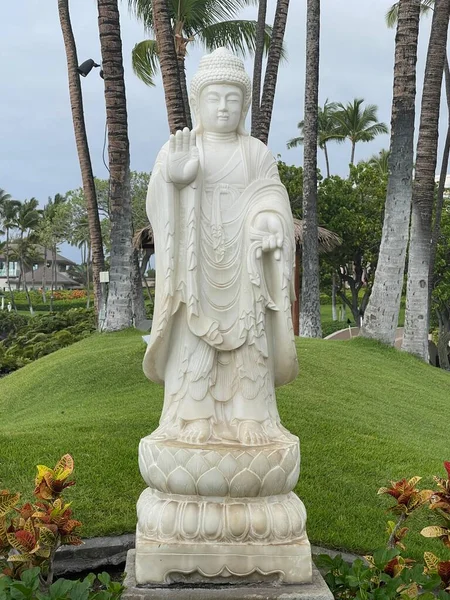 Waikoloa Aug Kunstsammlung Hilton Waikoloa Village Resort Auf Big Island — Stockfoto