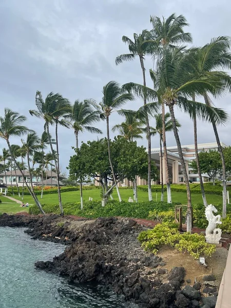 Waikoloa Srpna 2021 Hilton Waikoloa Village Resort Big Islandu Havaji — Stock fotografie