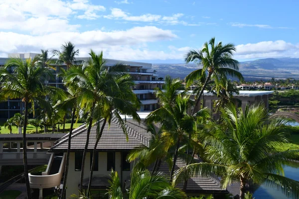 Waikoloa Aug Hilton Waikoloa Village Resort Big Island Hawajach Jak — Zdjęcie stockowe