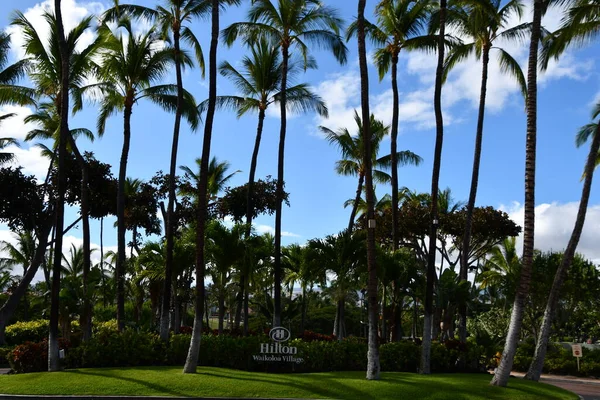 Waikoloa Srpna 2021 Hilton Waikoloa Village Resort Big Islandu Havaji — Stock fotografie