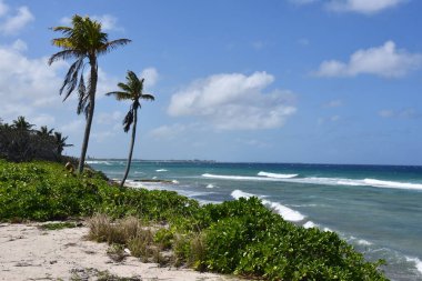 Grand Cayman, Cayman Adaları 'nın doğu yakasındaki Colliers Halk Plajı