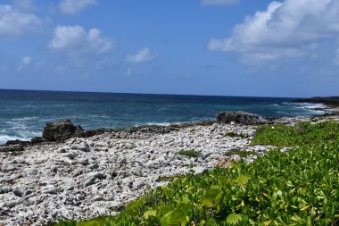Cayman Adaları 'ndaki Grand Cayman' ın doğusundan Karayip Denizi manzarası