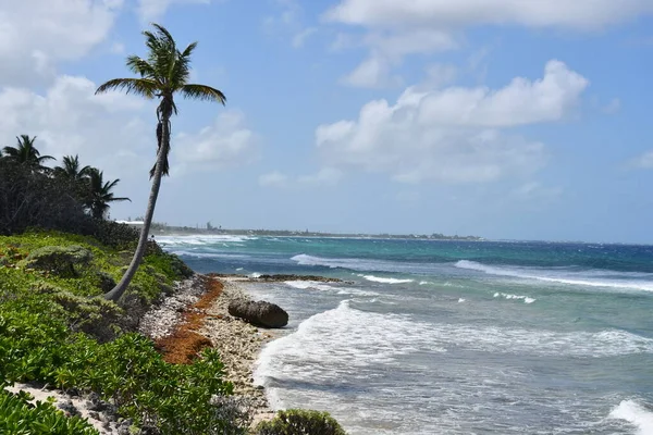 Colliers Public Beach Het East End District Van Grand Cayman — Stockfoto