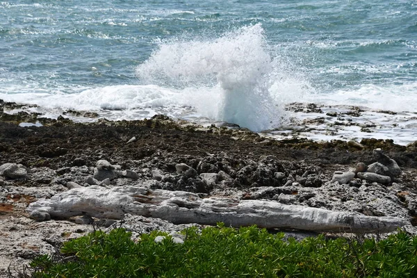 Blåshålen East End Grand Cayman Caymanöarna — Stockfoto