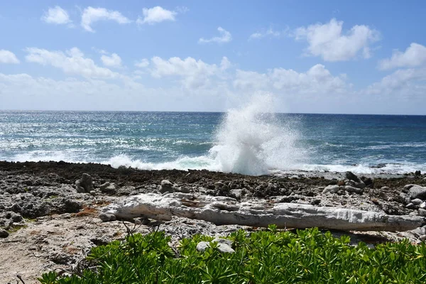 Les Blowholes East End Sur Grand Cayman Dans Les Îles — Photo