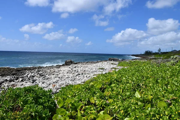제도의 그랜드 의동쪽 끝에서 바라본 카리브해의 — 스톡 사진