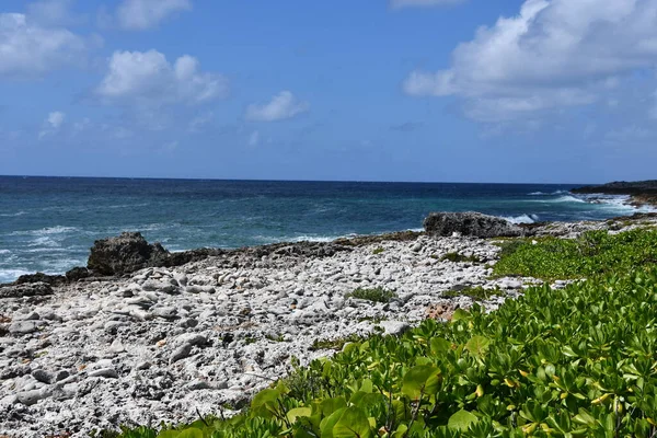 Vista Del Mar Caribe Desde Extremo Este Gran Caimán Las —  Fotos de Stock