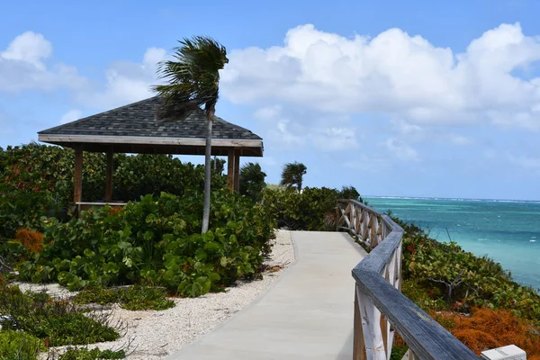 Cayman Adaları 'ndaki Grand Cayman Adaları' nın doğu ucundaki On Yelkenli Tarihi Parkı 'nın enkazı 21 Şubat 2022' de görüldü..