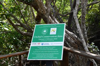 GRAND CAYMAN, CAYMAN ISLANDS - FEB 21: Orchid Conservation Area at Queen Elizabeth II Botanic Park on the North Side of Grand Cayman in the Cayman Islands, as seen on Feb 21, 2022.