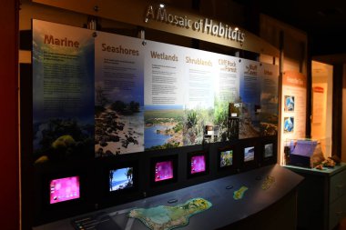 George Town, GRAND CAYMAN - 22 Şubat 2022 'de Cayman Adaları' nda, George Town şehir merkezindeki Cayman Adaları Ulusal Müzesi 'nde görüldü..