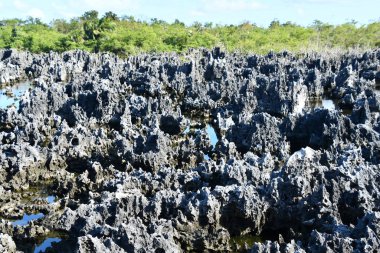 Cayman Adaları 'ndaki Grand Cayman' da Cehennem Kasabası 'nda kireçtaşı oluşumları