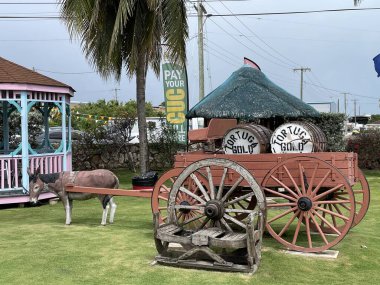 Batı BAY, GARND CAYMAN - 22 Şubat 2022 'de Cayman Adaları' ndaki Grand Cayman Adaları 'ndaki West Bay' deki Tortuga Rum Şirketi. Dünyanın en iyi romlu kekleri ve gurme ürünleriyle bilinir..