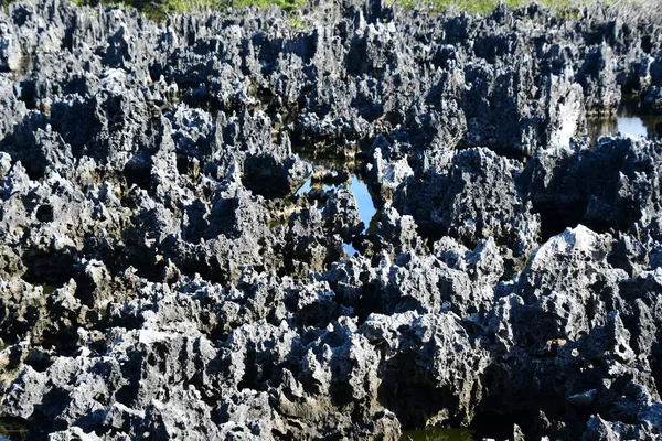 Limestone formations in the town of Hell on Grand Cayman in the Cayman Islands