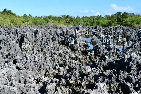 Limestone formations in the town of Hell on Grand Cayman in the Cayman Islands