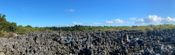 Formaciones Piedra Caliza Ciudad Del Infierno Gran Caimán Las Islas — Foto de Stock