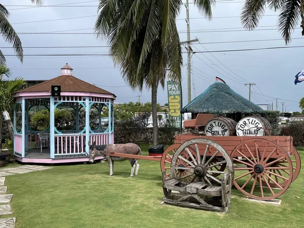 Batı BAY, GARND CAYMAN - 22 Şubat 2022 'de Cayman Adaları' ndaki Grand Cayman Adaları 'ndaki West Bay' deki Tortuga Rum Şirketi. Dünyanın en iyi romlu kekleri ve gurme ürünleriyle bilinir..