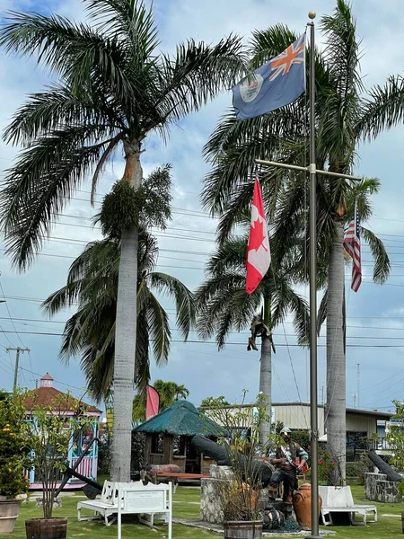 Baie Ouest Garnd Cayman Février Tortuga Rum Company West Bay — Photo