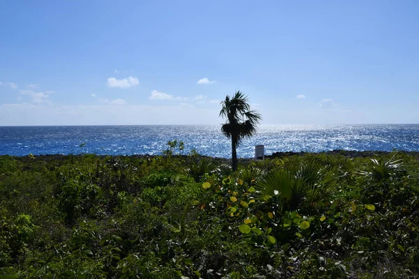 View of the Caribbean Sea from the East End on the Cayman Islands