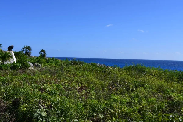 View of the Caribbean Sea from the East End on the Cayman Islands