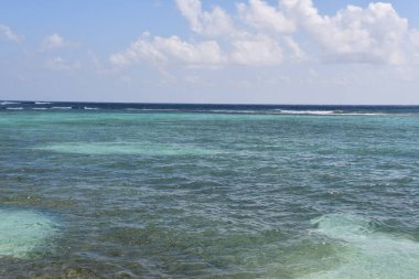 Cayman Adaları 'ndaki Grand Cayman' daki Spotts Halk Plajı 'ndan görüntü