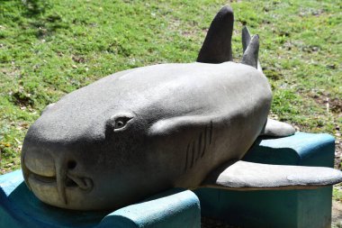 WEST BAY, CAYMAN ISLANDS - FEB 24: Cayman Turtle Centre in West Bay on the Cayman Islands, as seen on Feb 24, 2022.